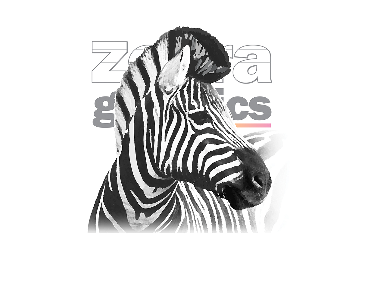 zebra graphics products